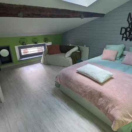 Superbe Duplex En Hyper Centre * Le Puy-en-Velay