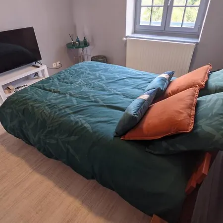 Superbe Duplex En Hyper Centre Le Puy-en-Velay