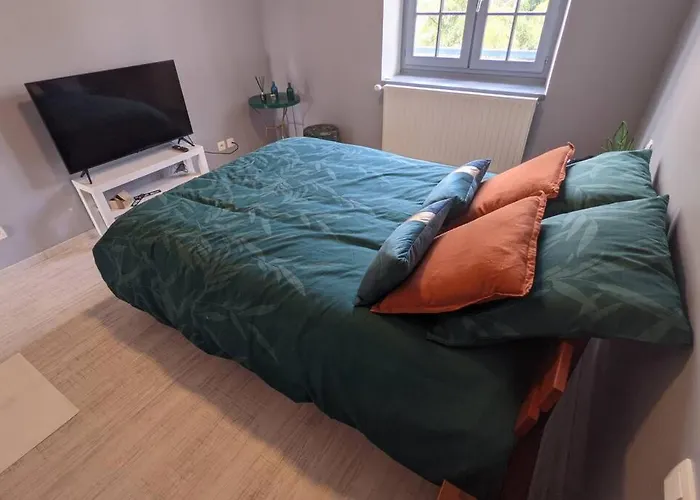 Superbe Duplex En Hyper Centre Le Puy-en-Velay