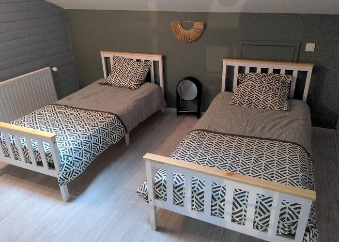 Superbe Duplex En Hyper Centre Appartement