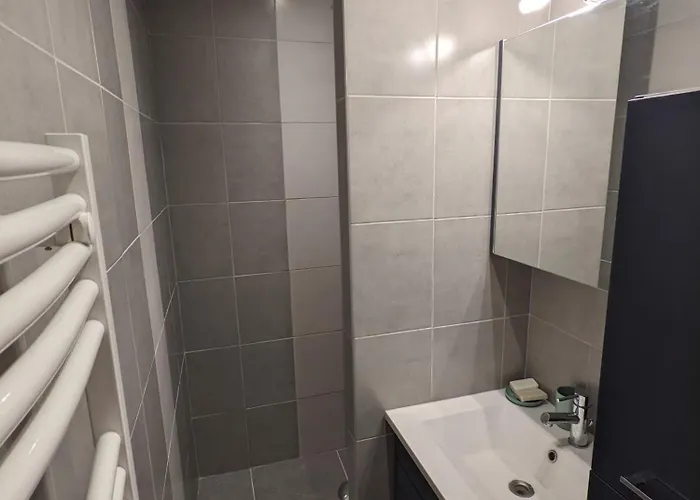 Superbe Duplex En Hyper Centre Appartement *