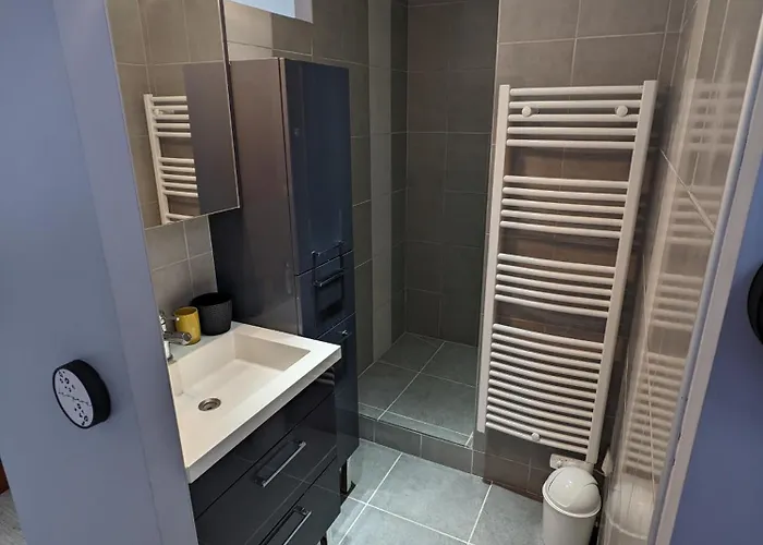 Superbe Duplex En Hyper Centre Appartement